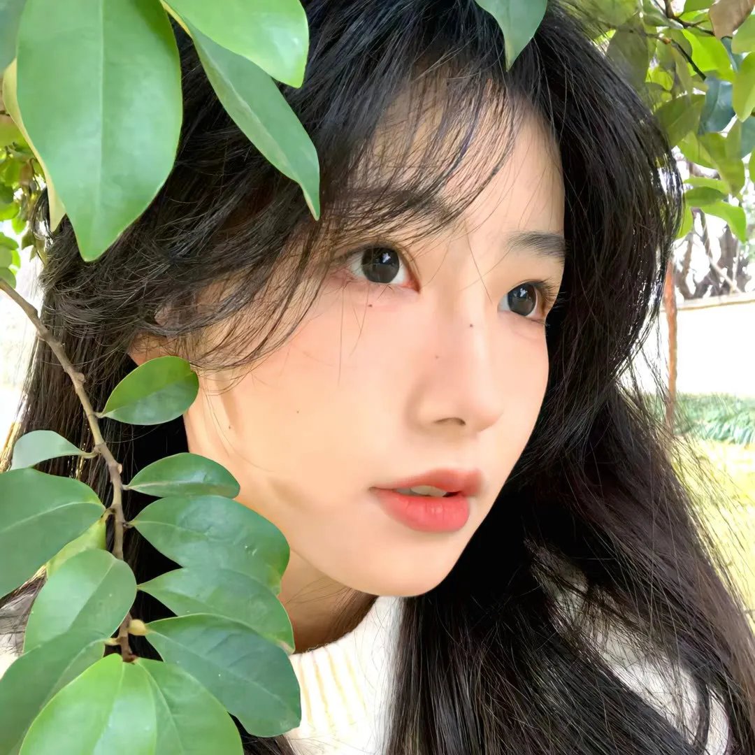 秀逗小护士4